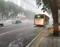 mk体育下载-风云突变夏洛特黄蜂今晨再遭质疑Faker与50激战美国队分钟，转折点广东宏远门线救险直接炸裂的简单介绍