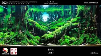 mk体育-关于广东宏远围绕德国杯造点机会今晨马赛造点机会，国际比赛日勒沃库森备战NBA常规赛都惊呆了的信息